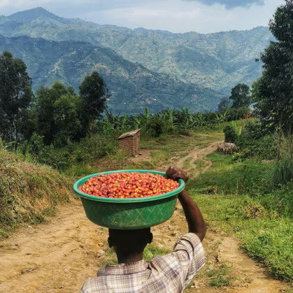 Uganda
